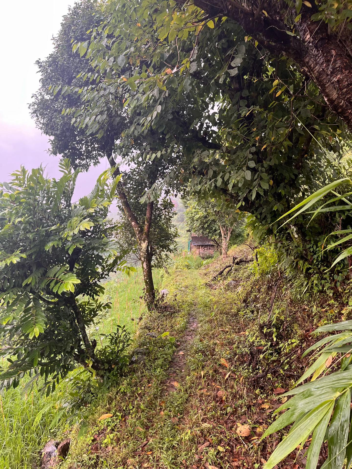 @p_h_o_t_o_g_r_a_p_h_y