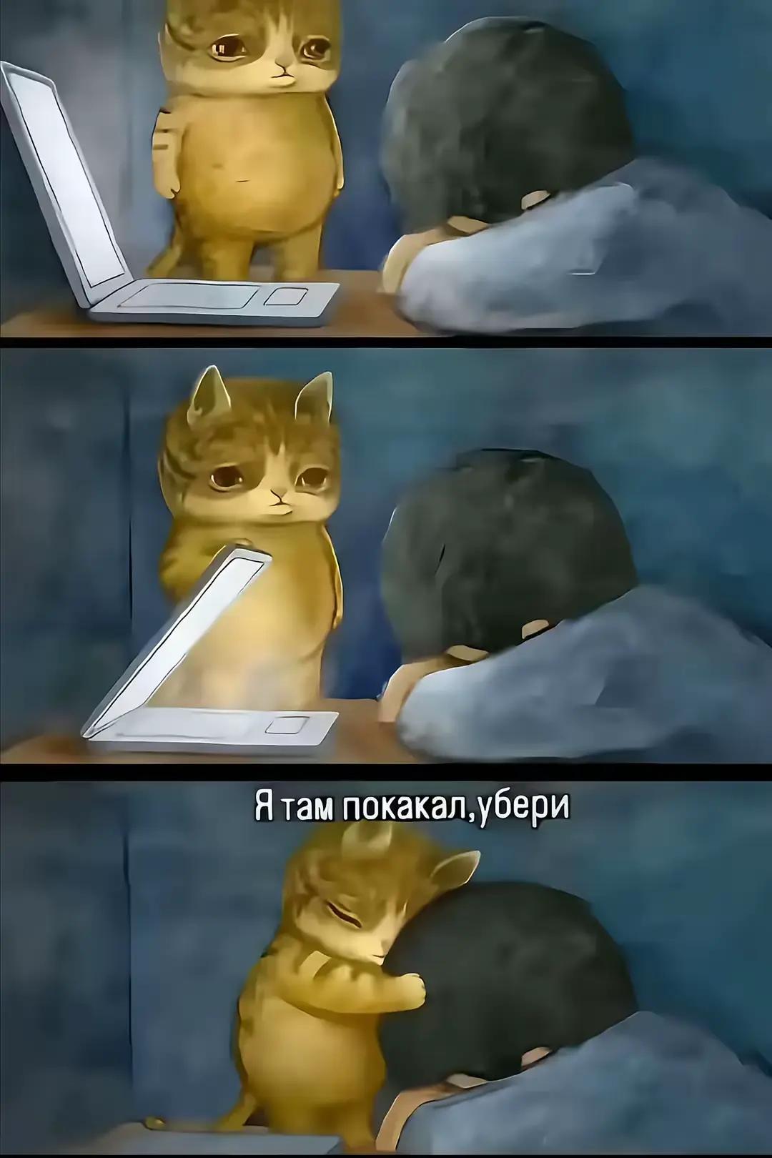 @🍋🟩ми🍋🟩