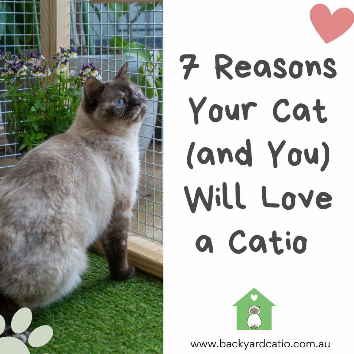 @Backyard Catio Builder
