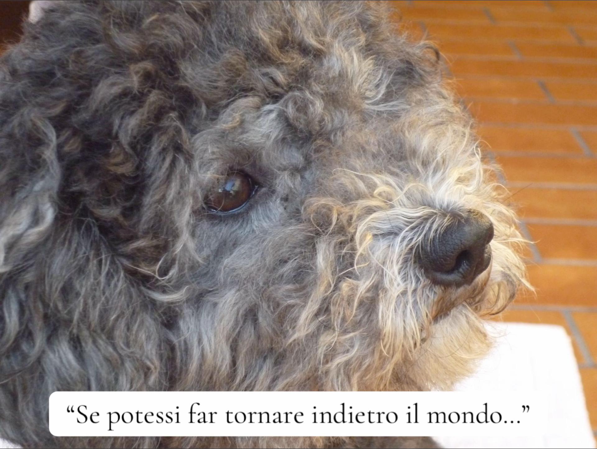 @Giulia Landi