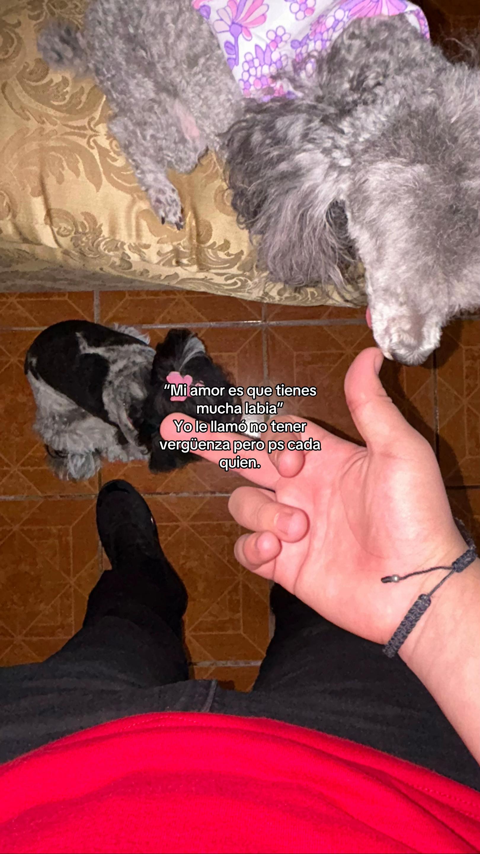 @🇨🇳