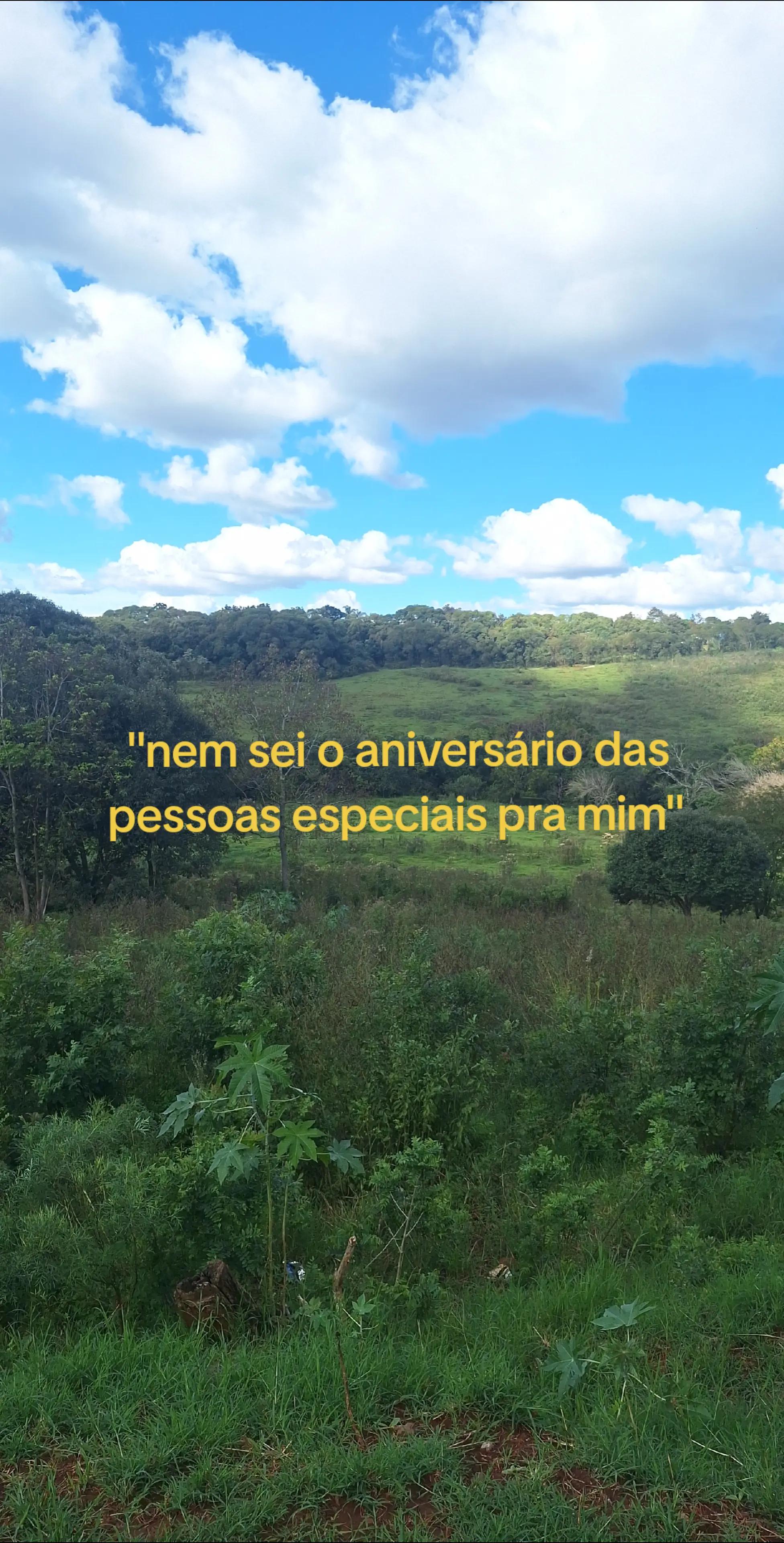 @luiza boeira