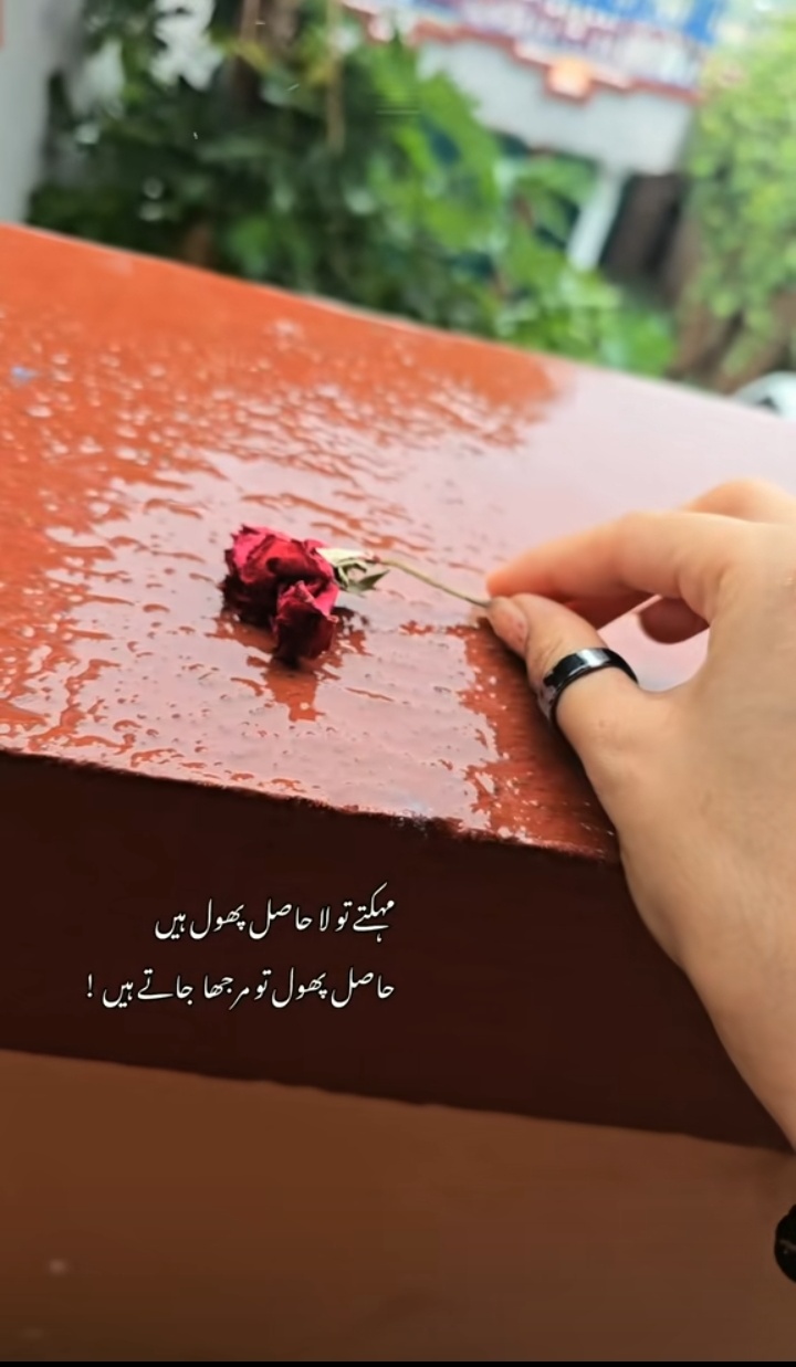 @Rehan786