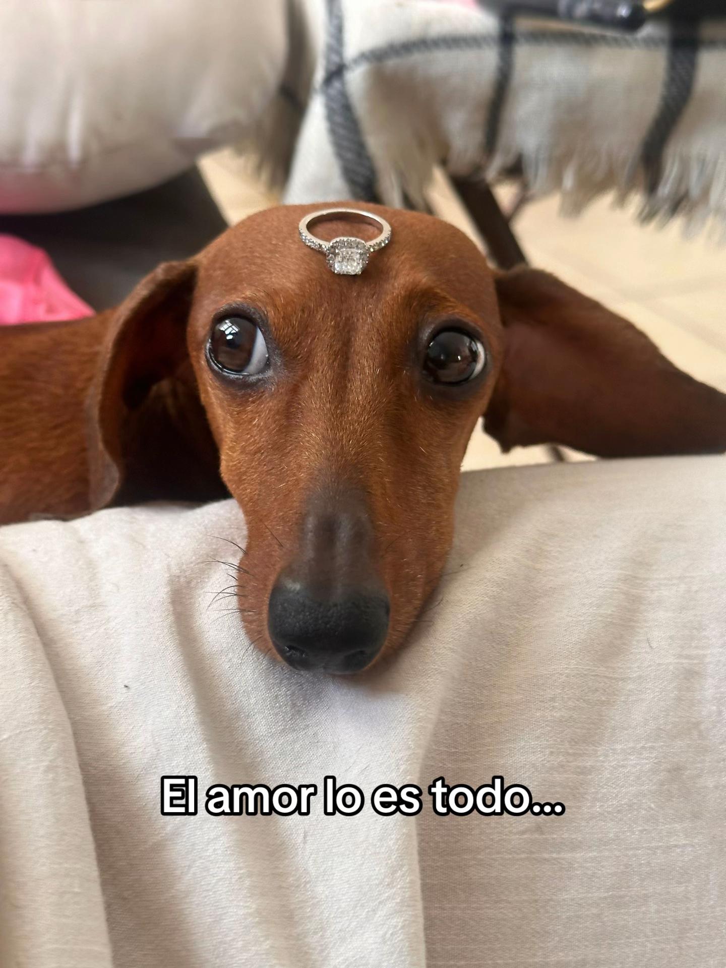 @lachicadelcentro