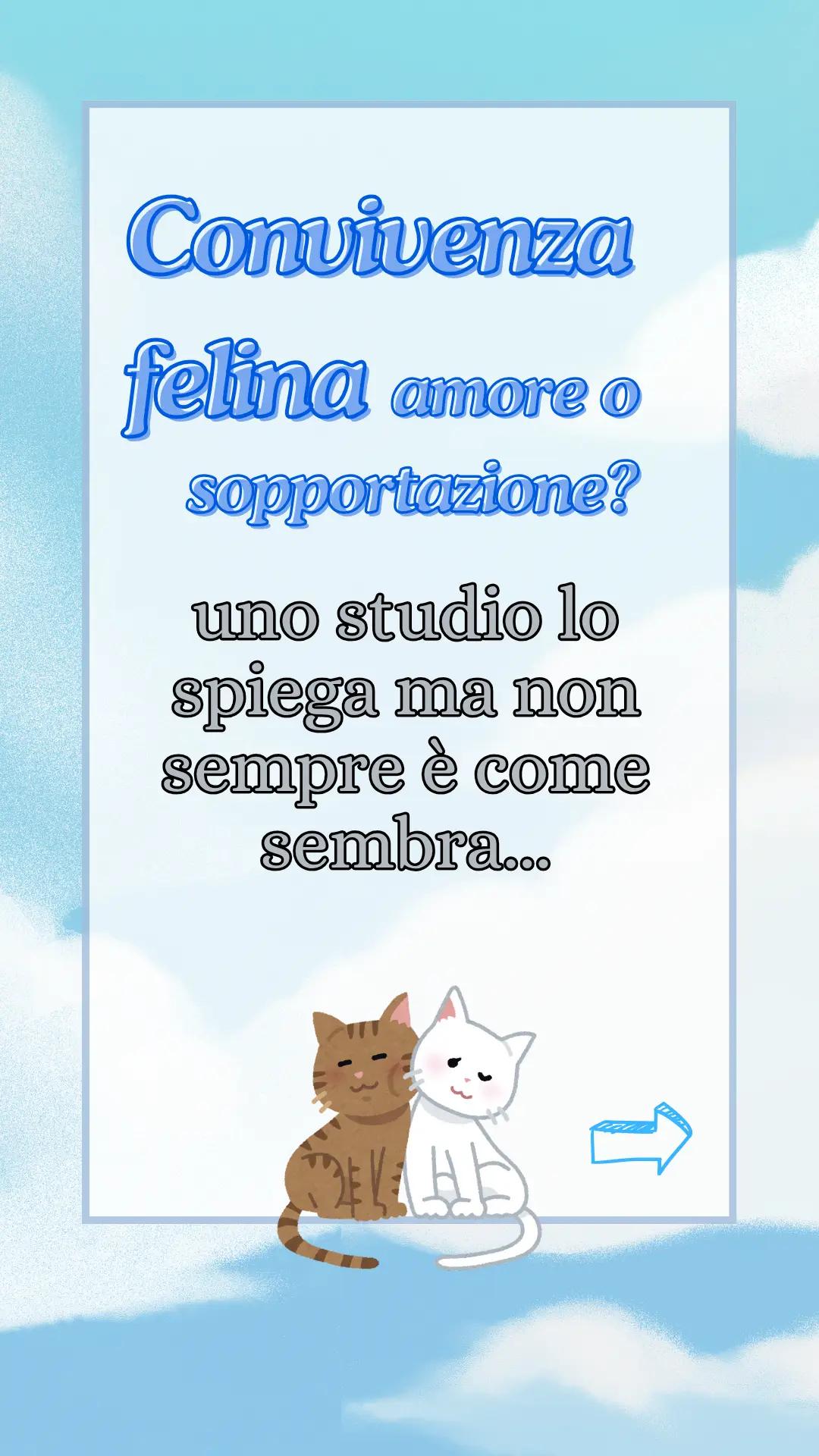 @Federica