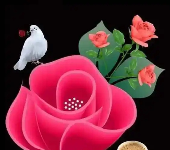 @❤️Geetha
