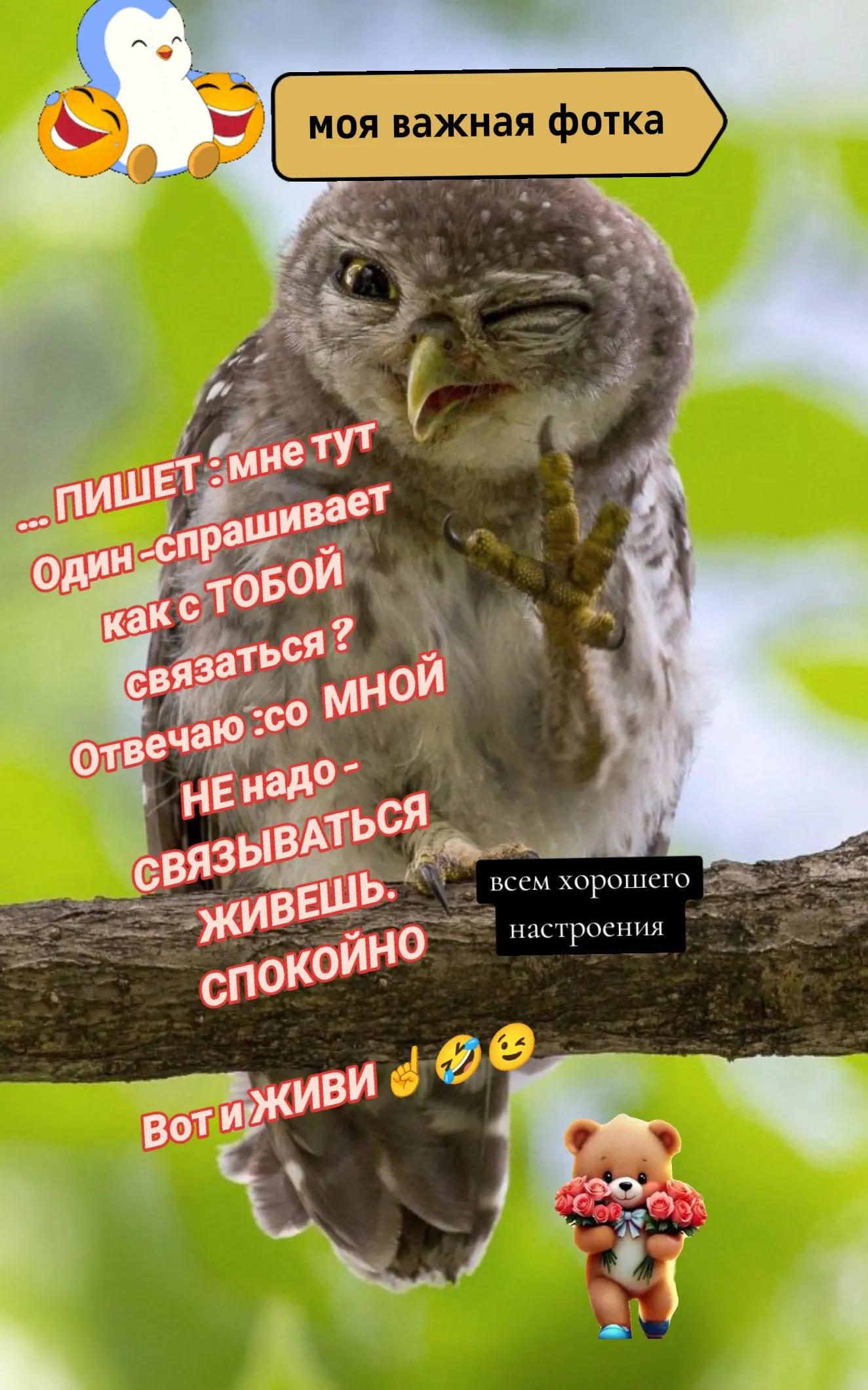@ЛиЛеК