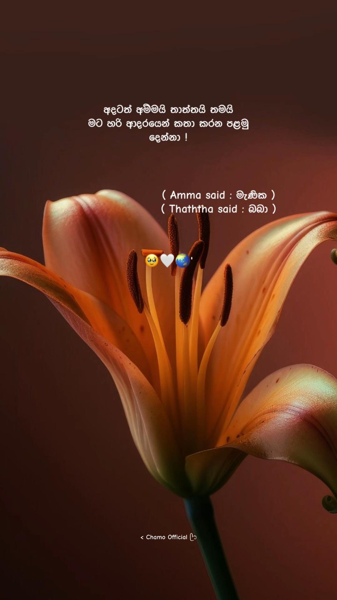 @< 𝐂𝐡𝐚𝐦𝐨 ᥫ᭡