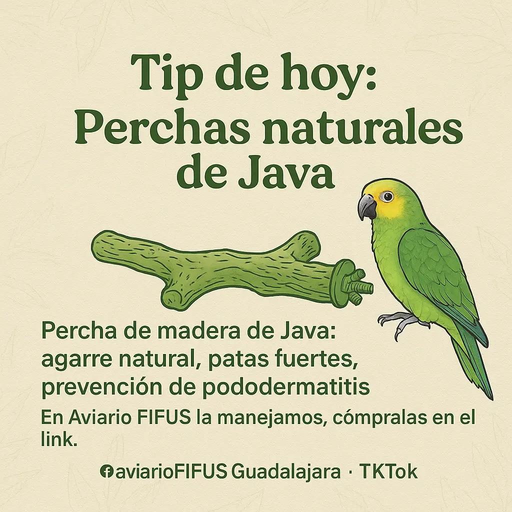 @Aviario FIFUS Guadalajara