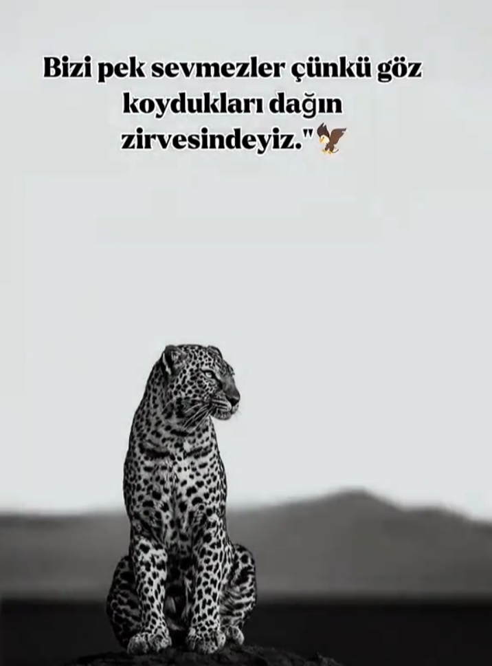 @LALENİZZ38🐊