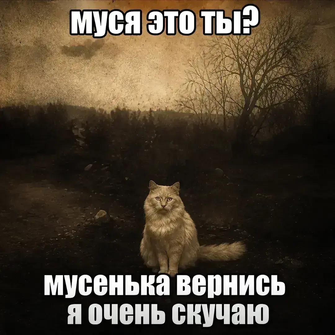 @Шо