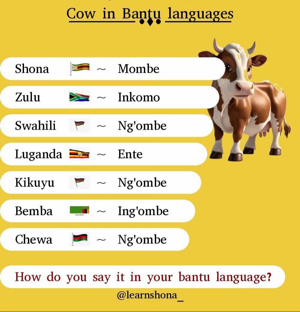 @Learn Shona