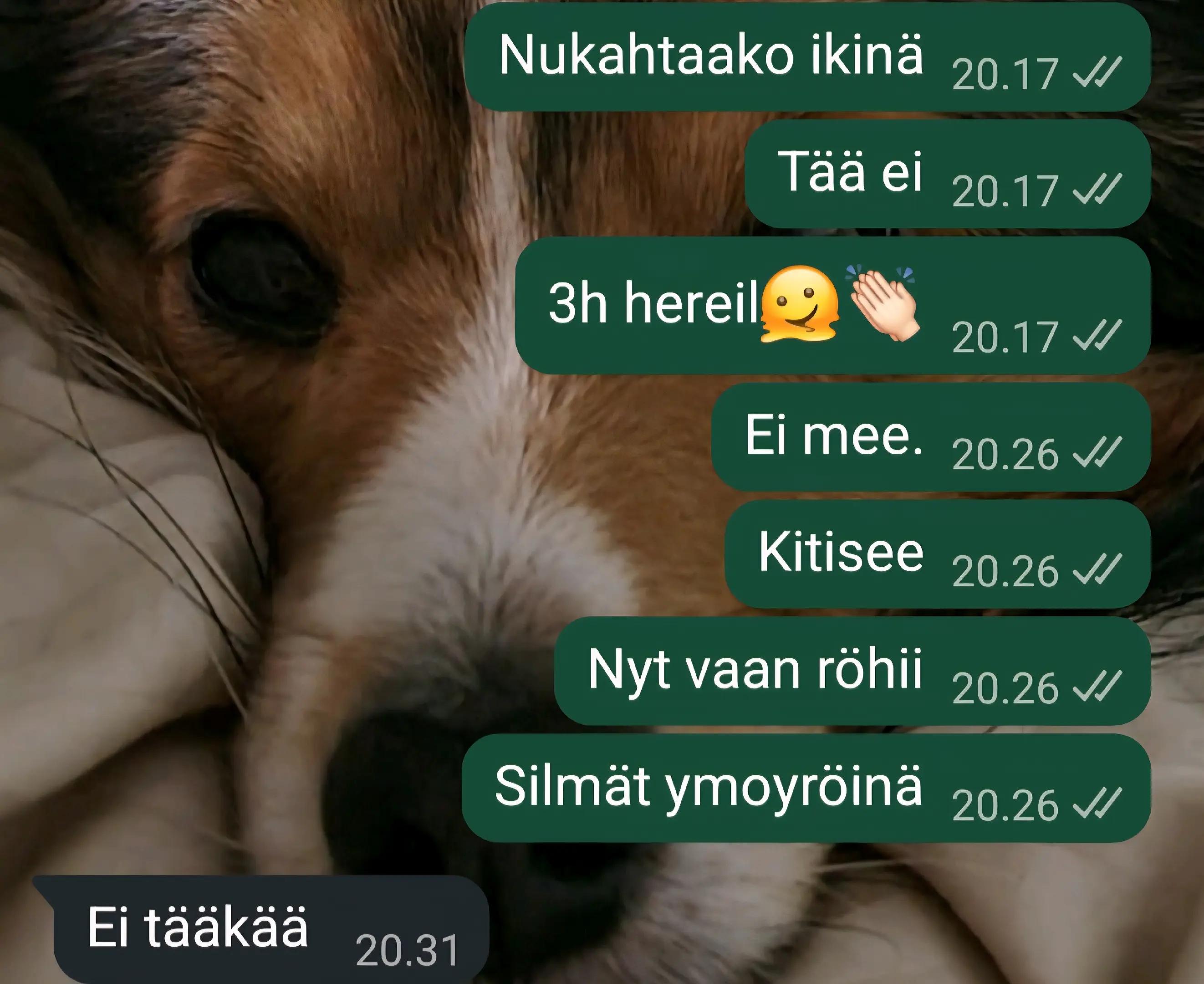 @katarinajohanna