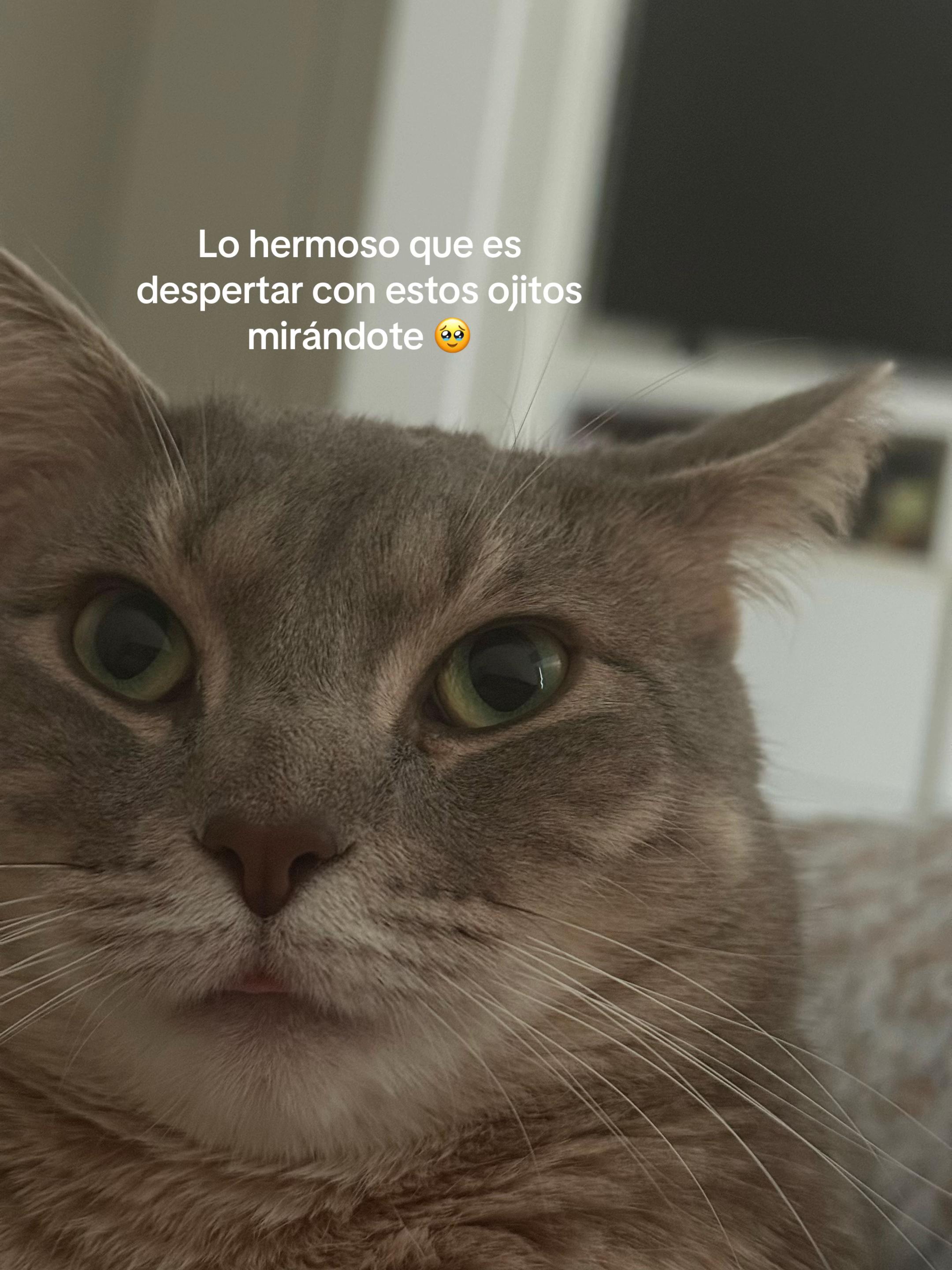 @Magaly SD