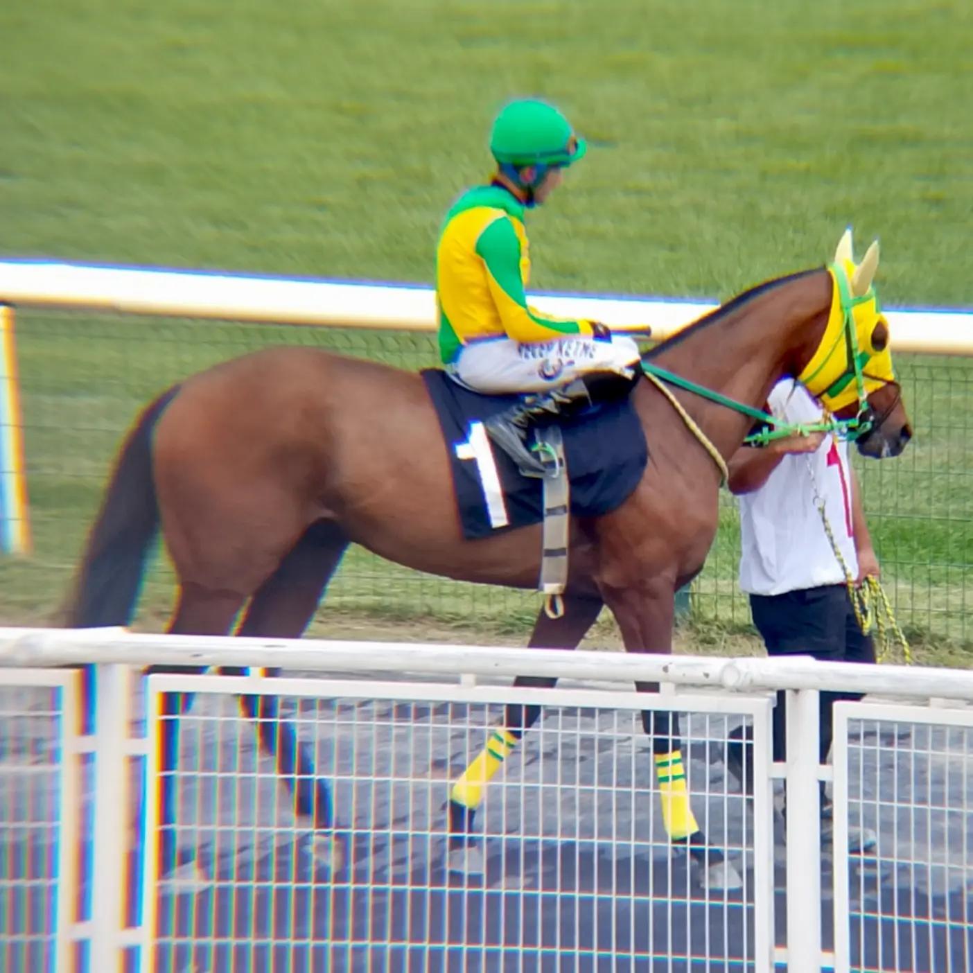 @brs horse racing