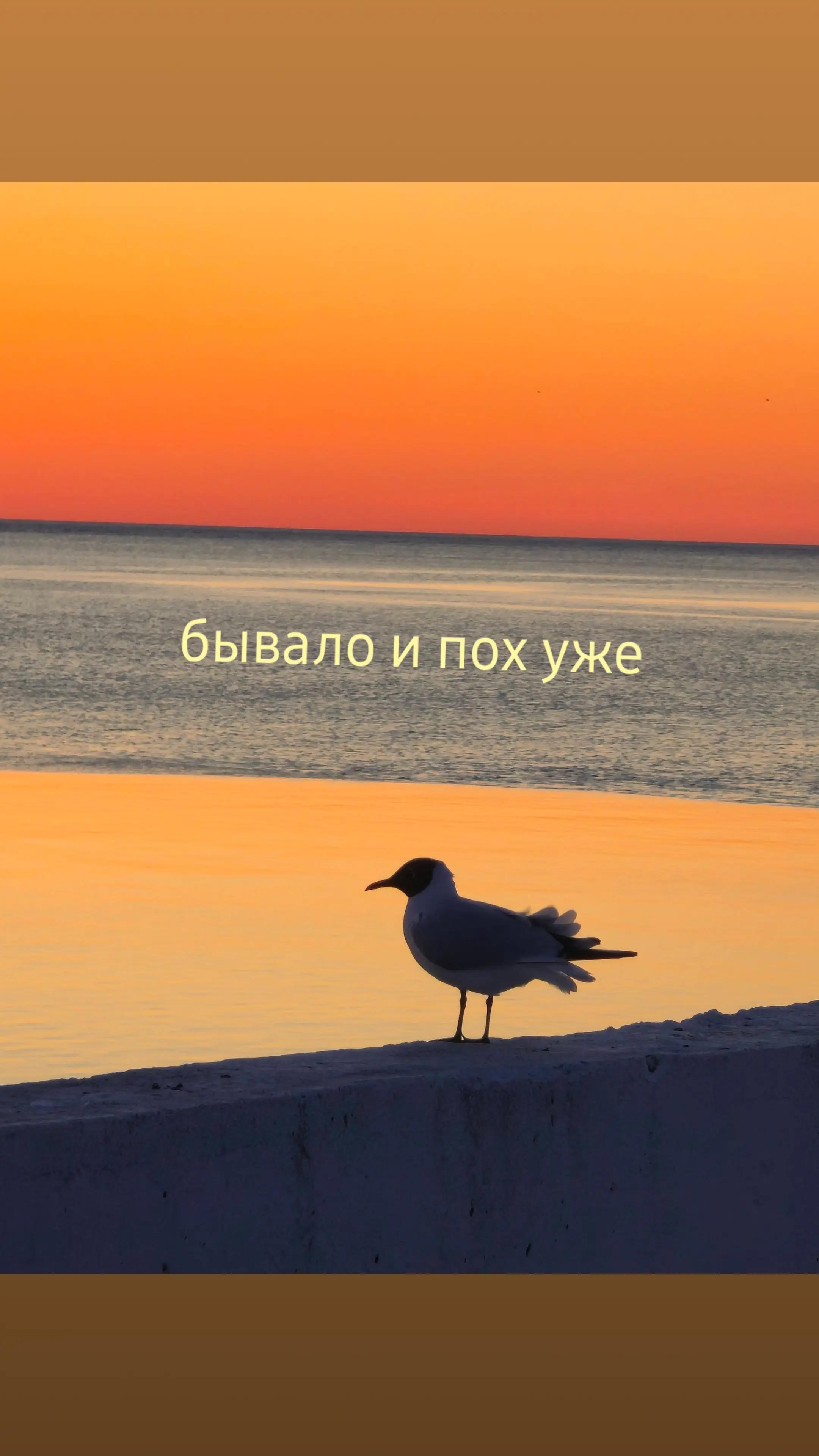 @𝓜𝓪𝓻𝓲𝓷𝓪🧸