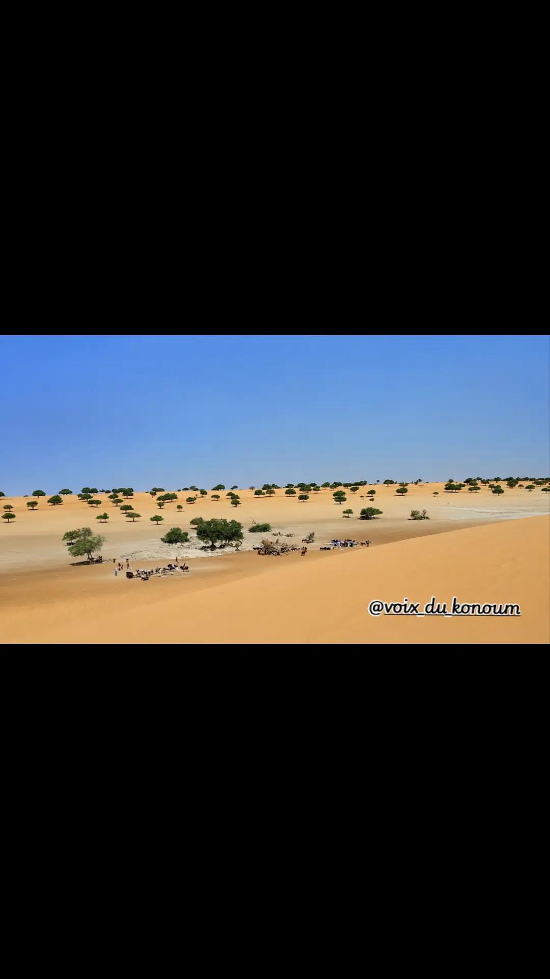 @Voix du Konoum