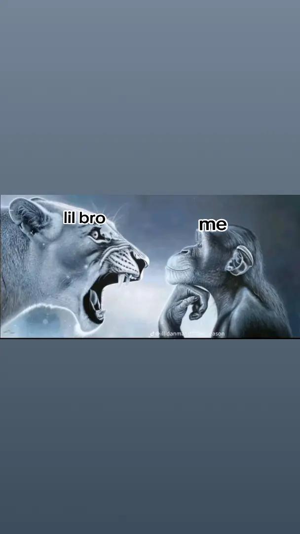 @MID BRO