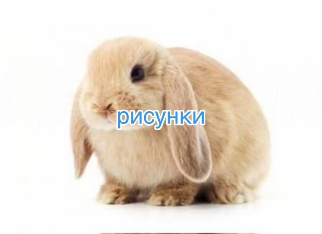 @мужик Иван