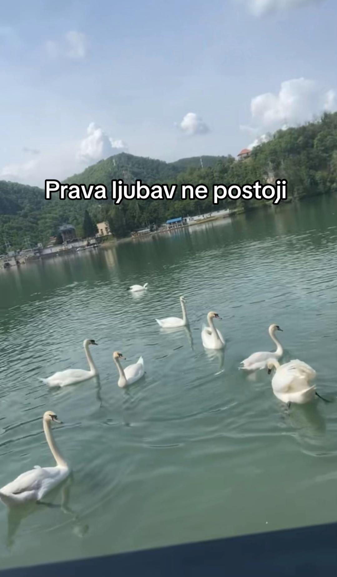 @wiwiel