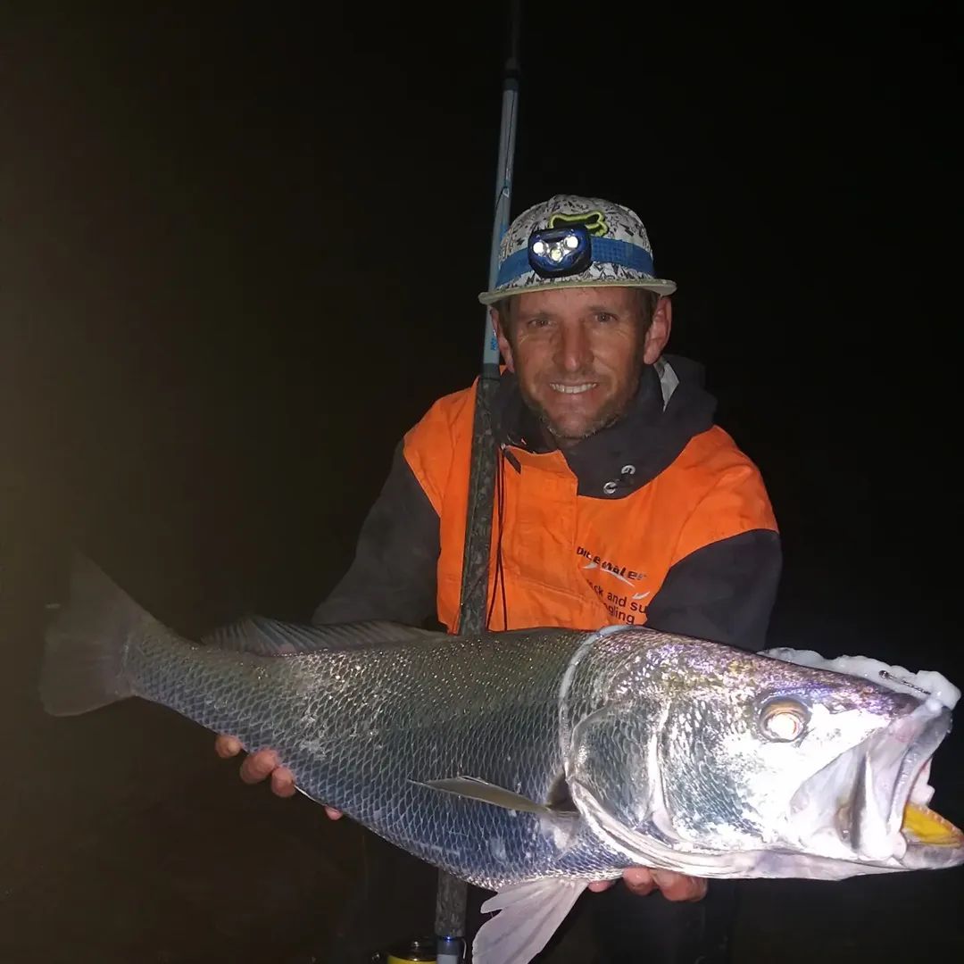 @Bite Time SA