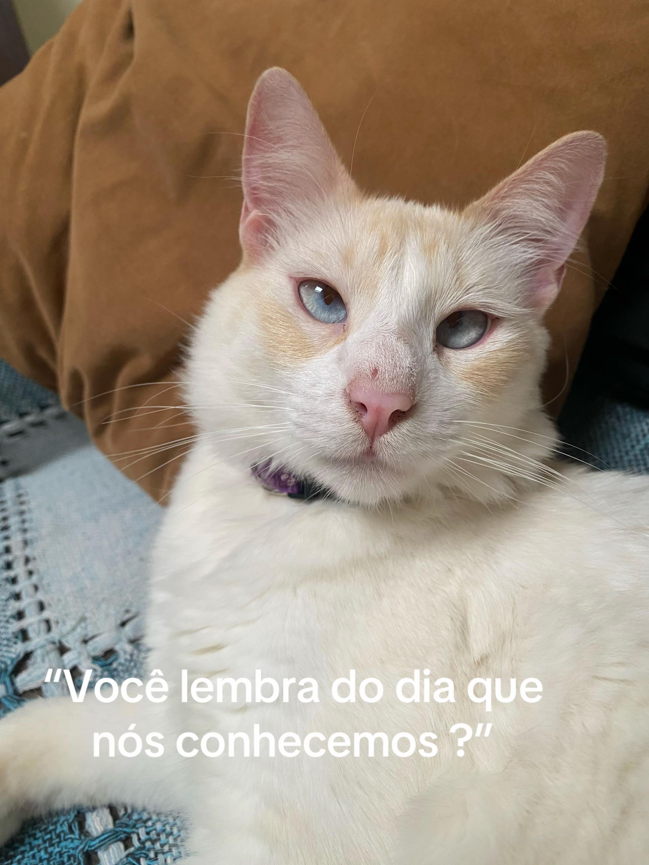 @Nany Ribeiro