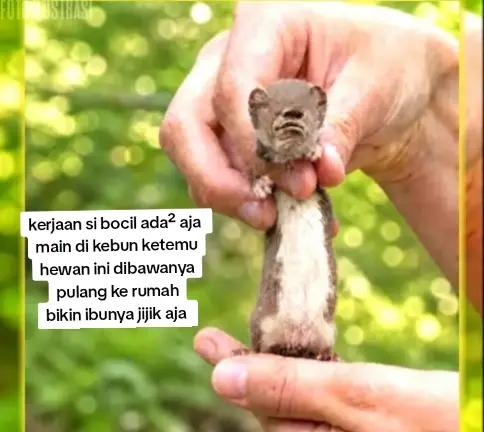 @witrriana&yans