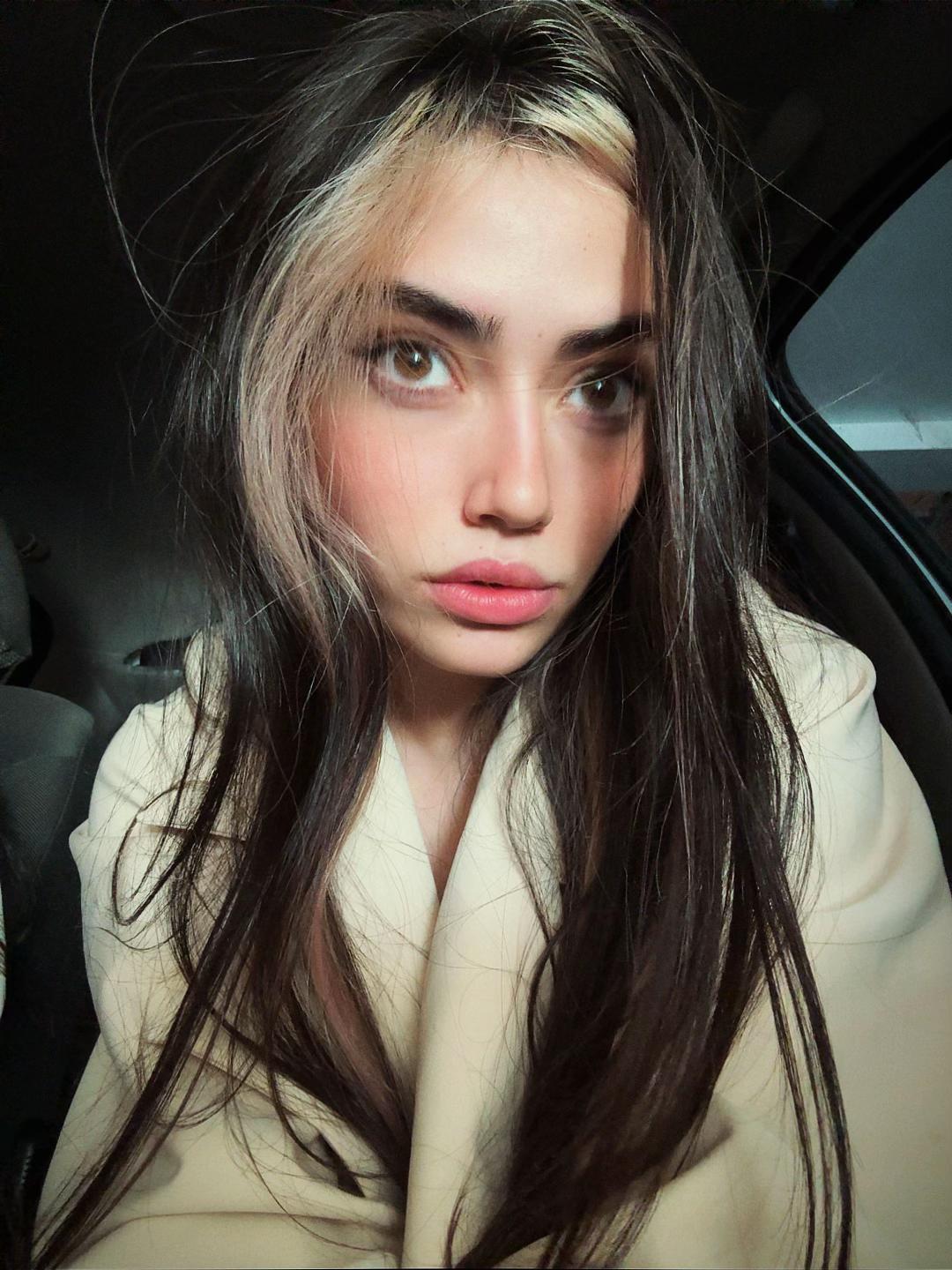 @Niayesh Khanian