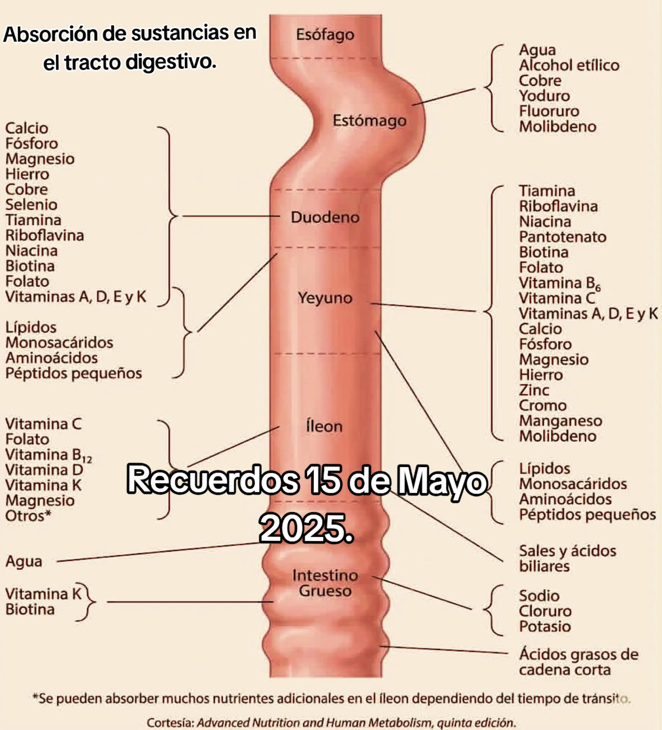 @Dr. Ajolote.