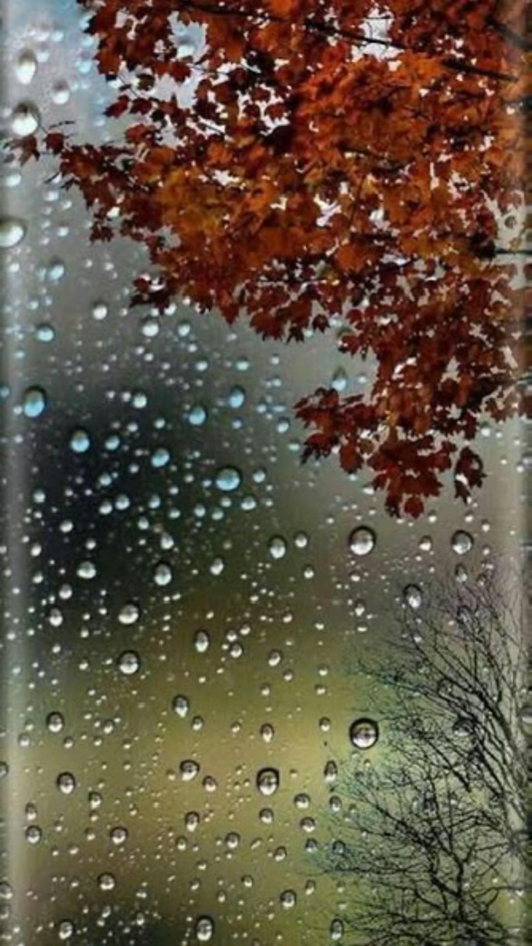 @AnneJirsch
