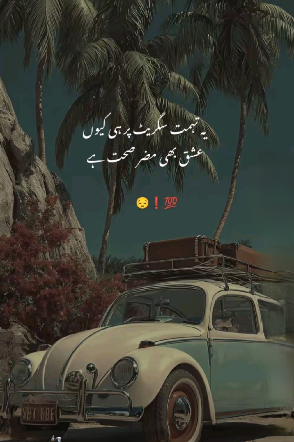 @mmurtaza1457