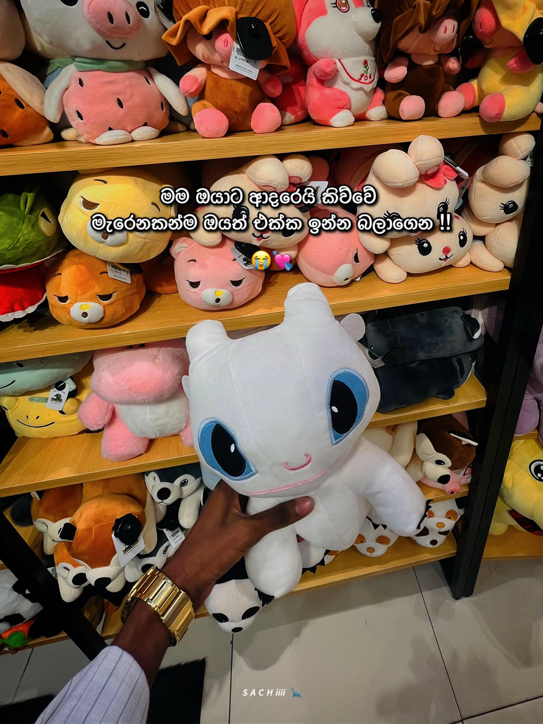 @𝙎 𝘼 𝘾 𝙃 𝙞𝙞𝙞𝙞 🦕