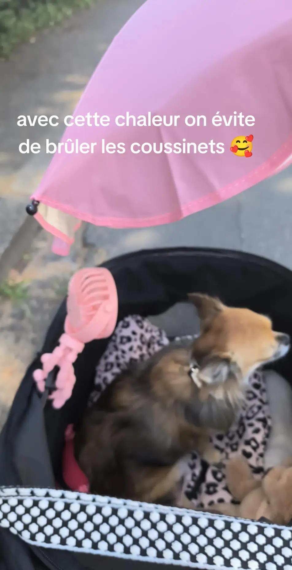 @lilikatbremond