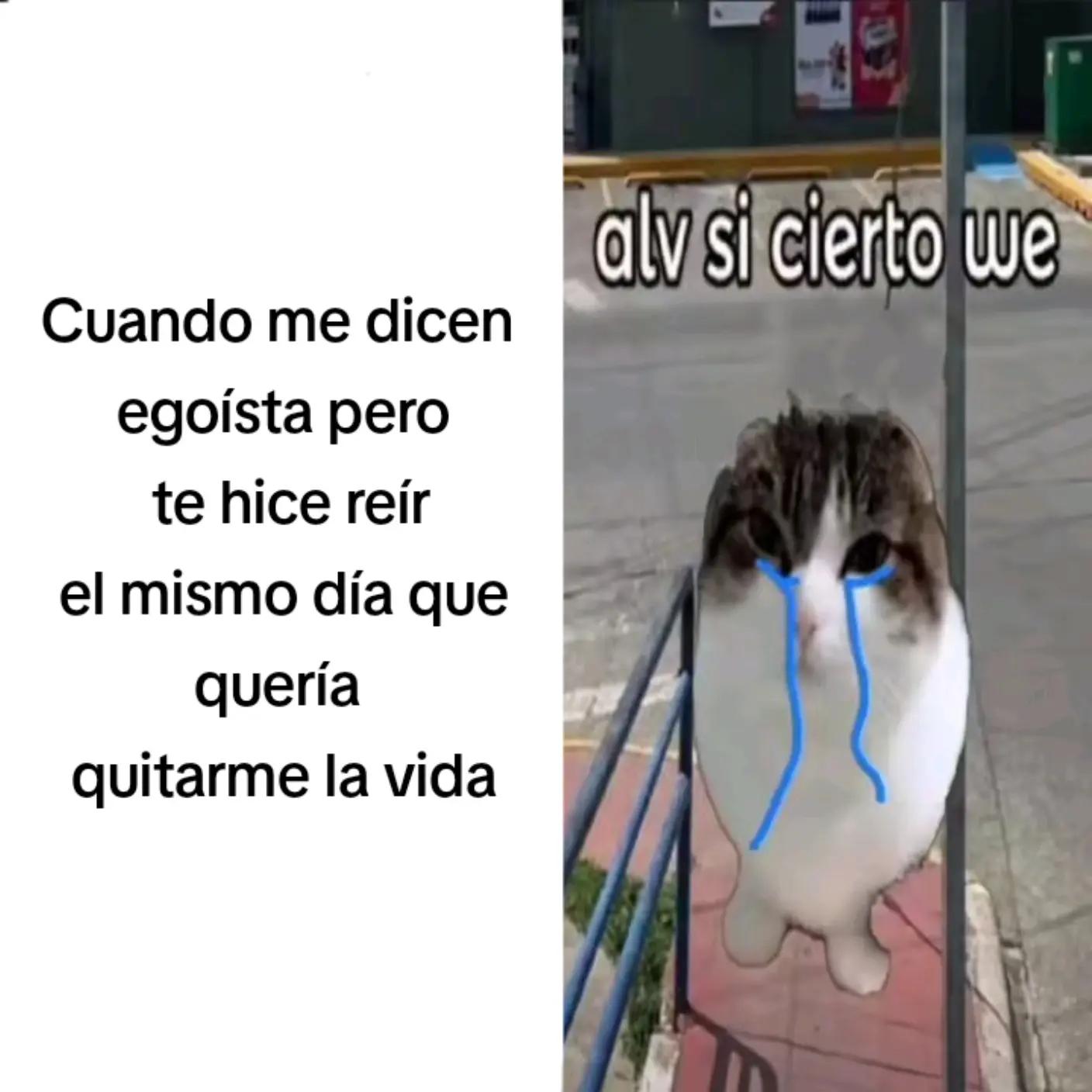 @Alexis - Kun🦇