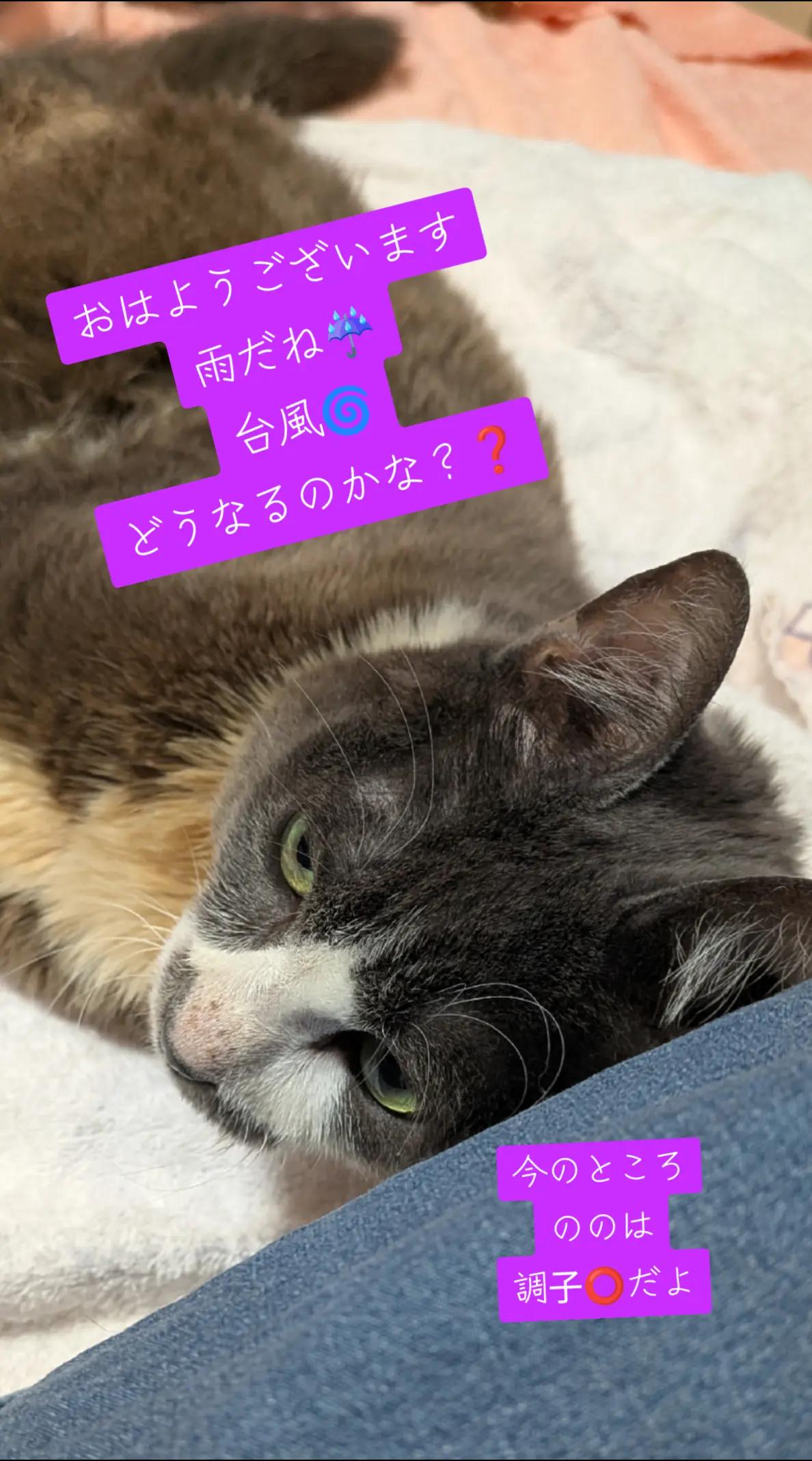@てんきな