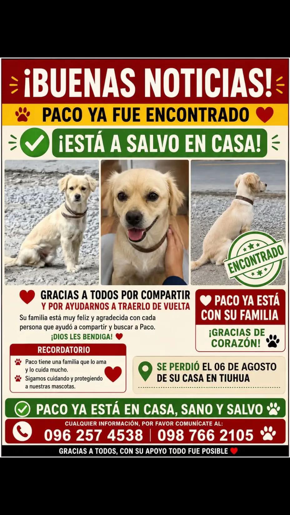 @Amigoscaninos_Ambato