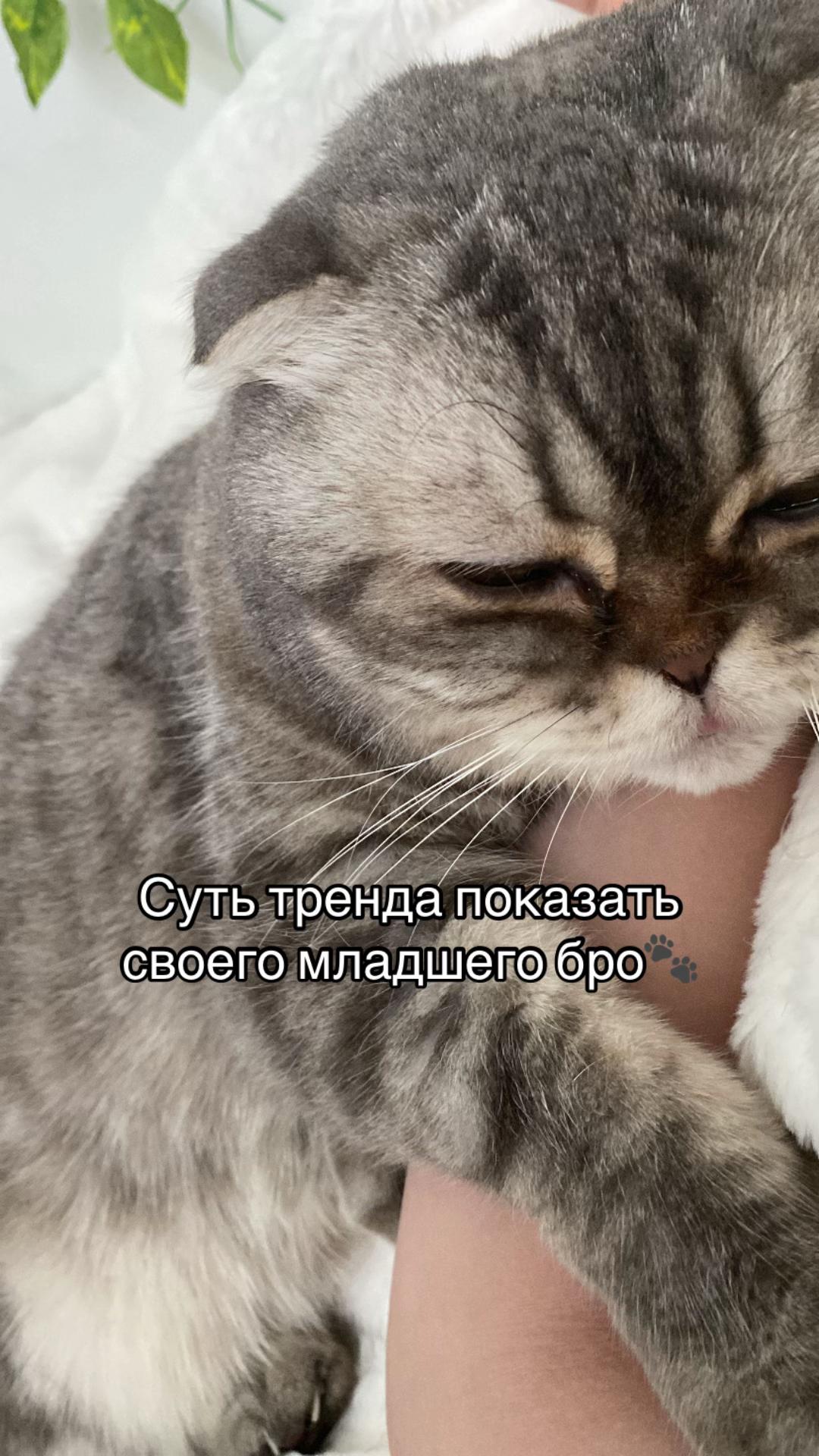 @F_u_r_e_t🐾✨🤍