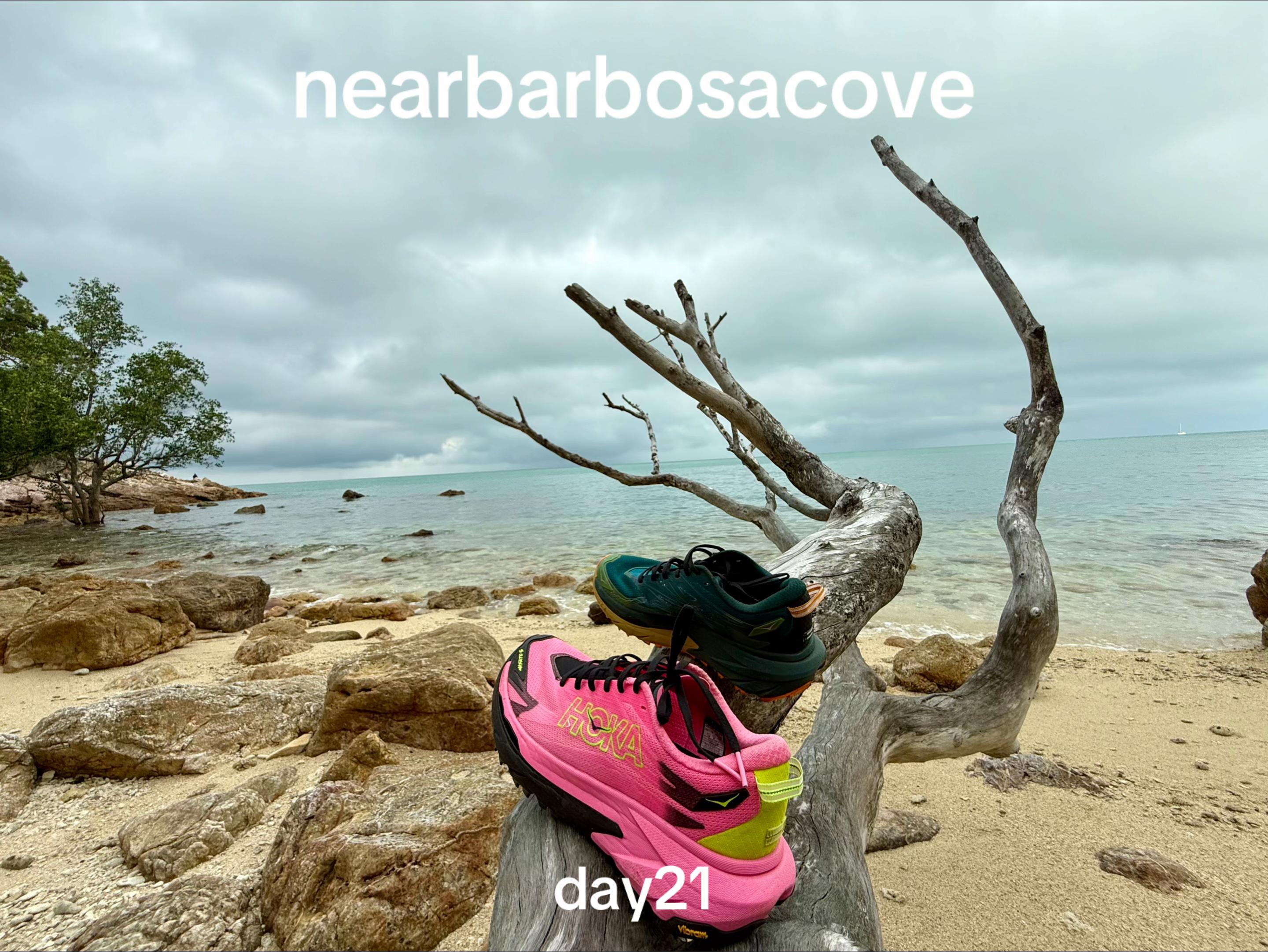 @barbosacove