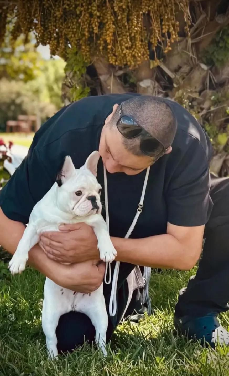 @Bosphorus Bulls French Bulldog