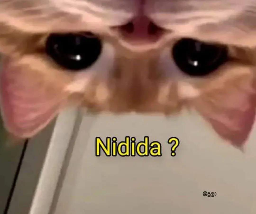 @nipuwa_editz_1