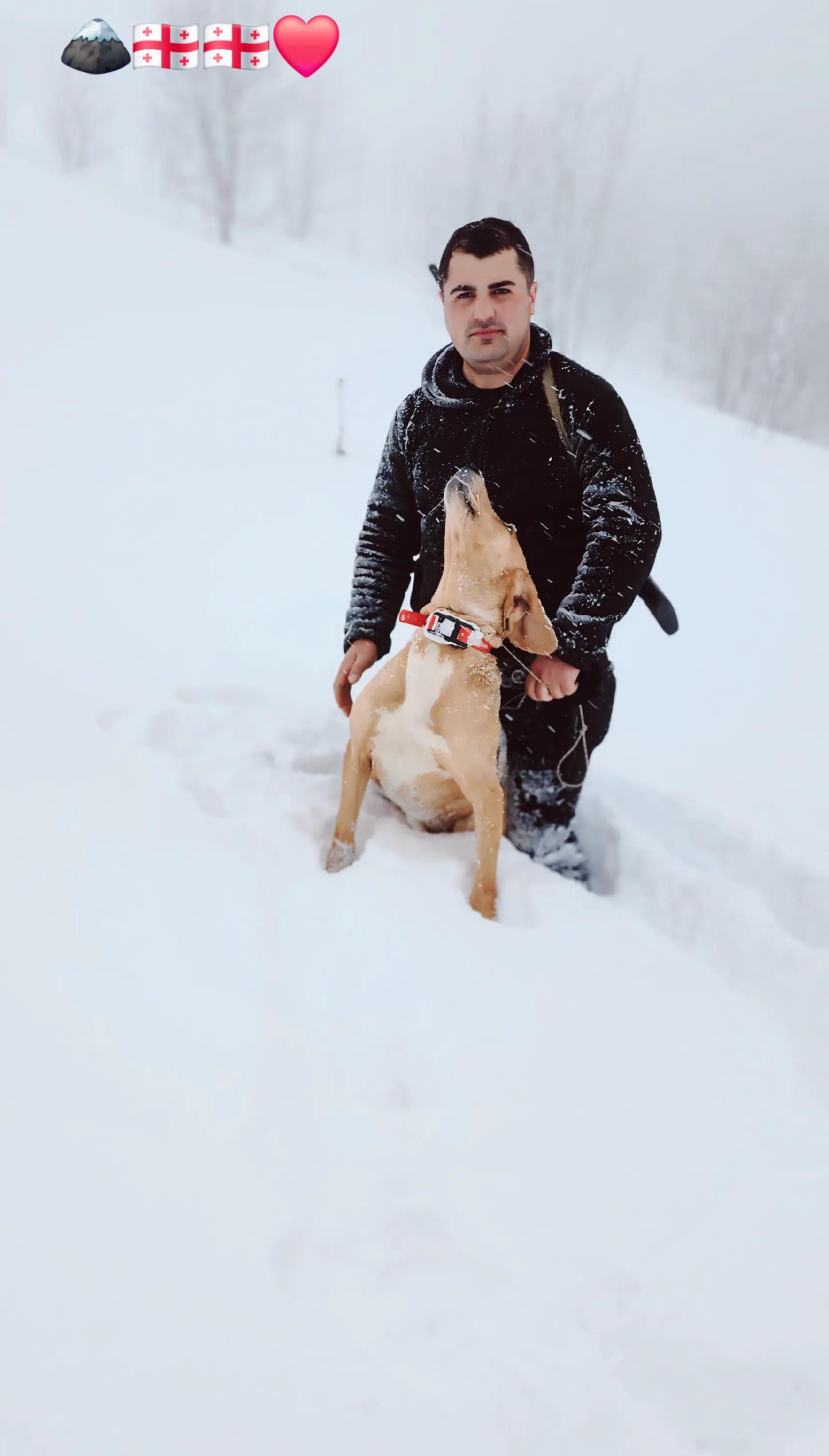 @მონადირე მთისშვილი❤️🏔️🇬🇪