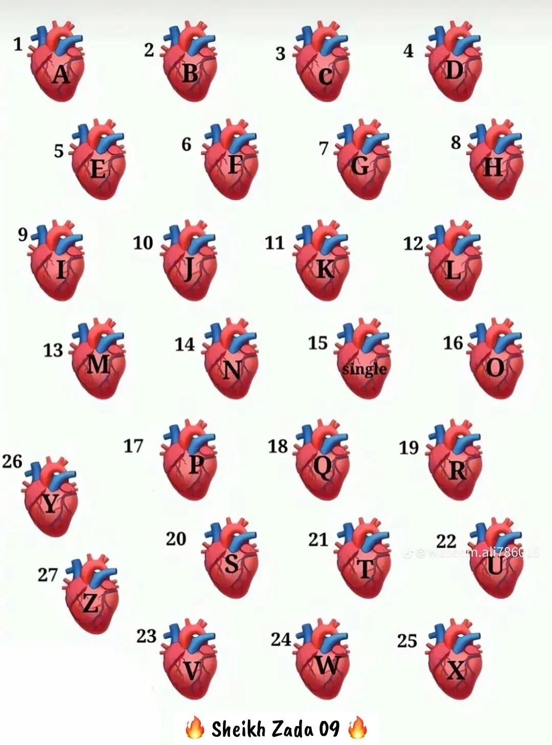 @shahzbAli🥀💔🤦