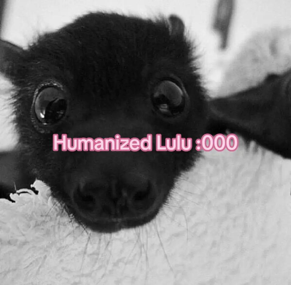 @🌀🦄Lulu!!🦄🌀