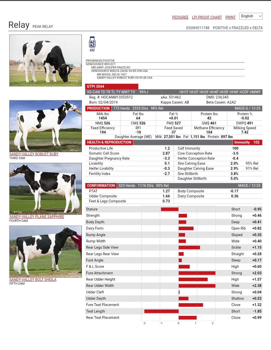 @SEMEX