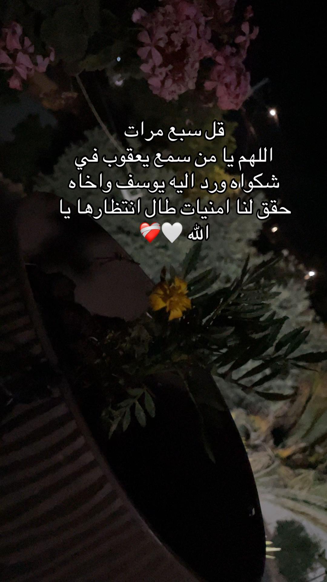 @Eman ahmad
