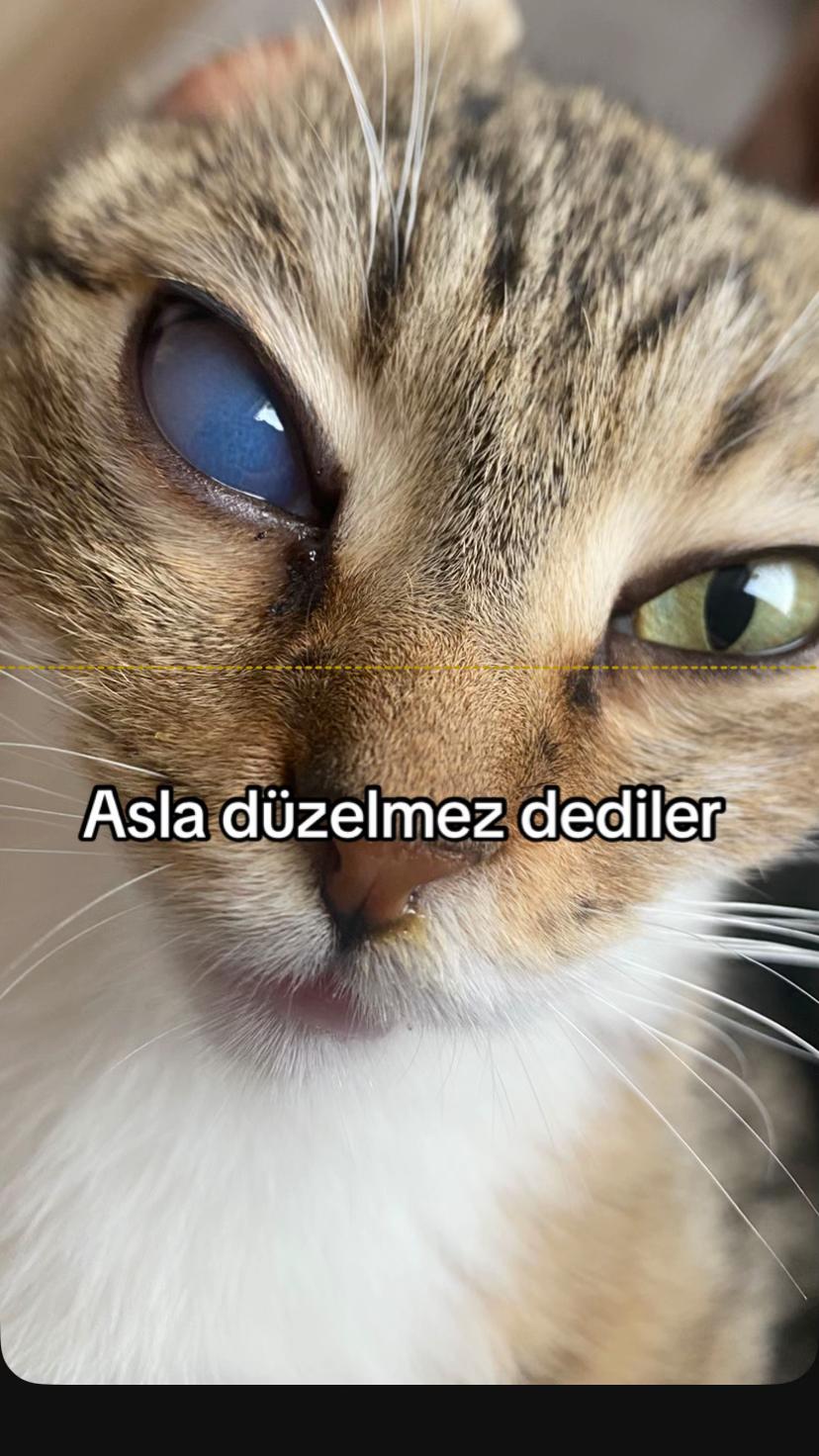 @yudummz_