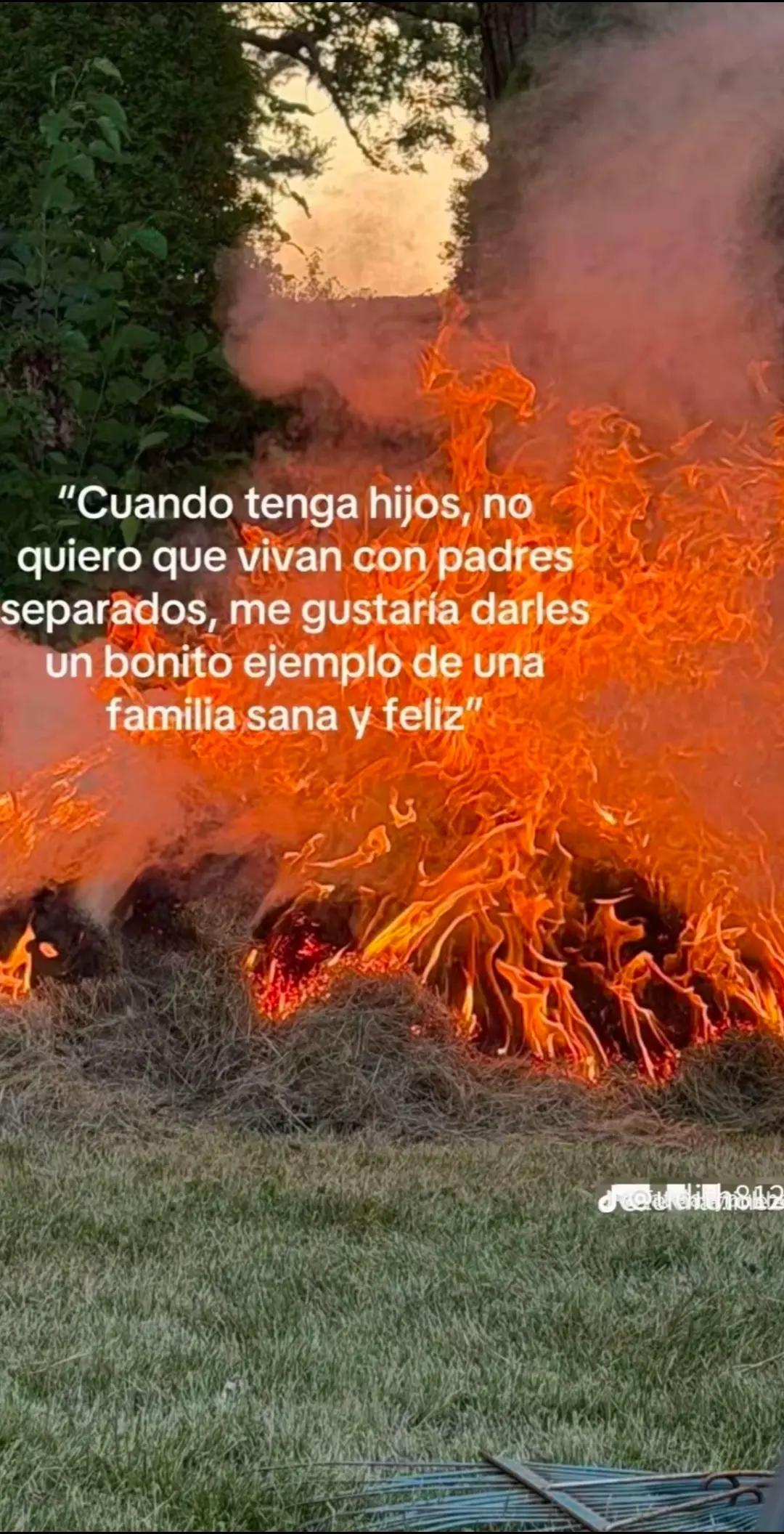 @Antonella_Reina🪄
