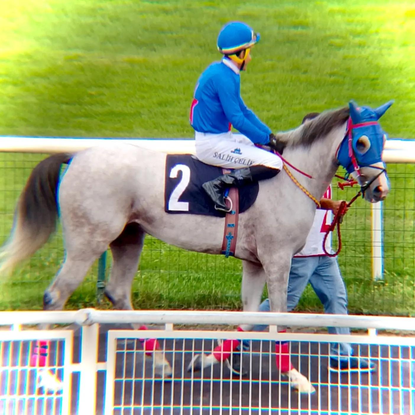 @brs horse racing