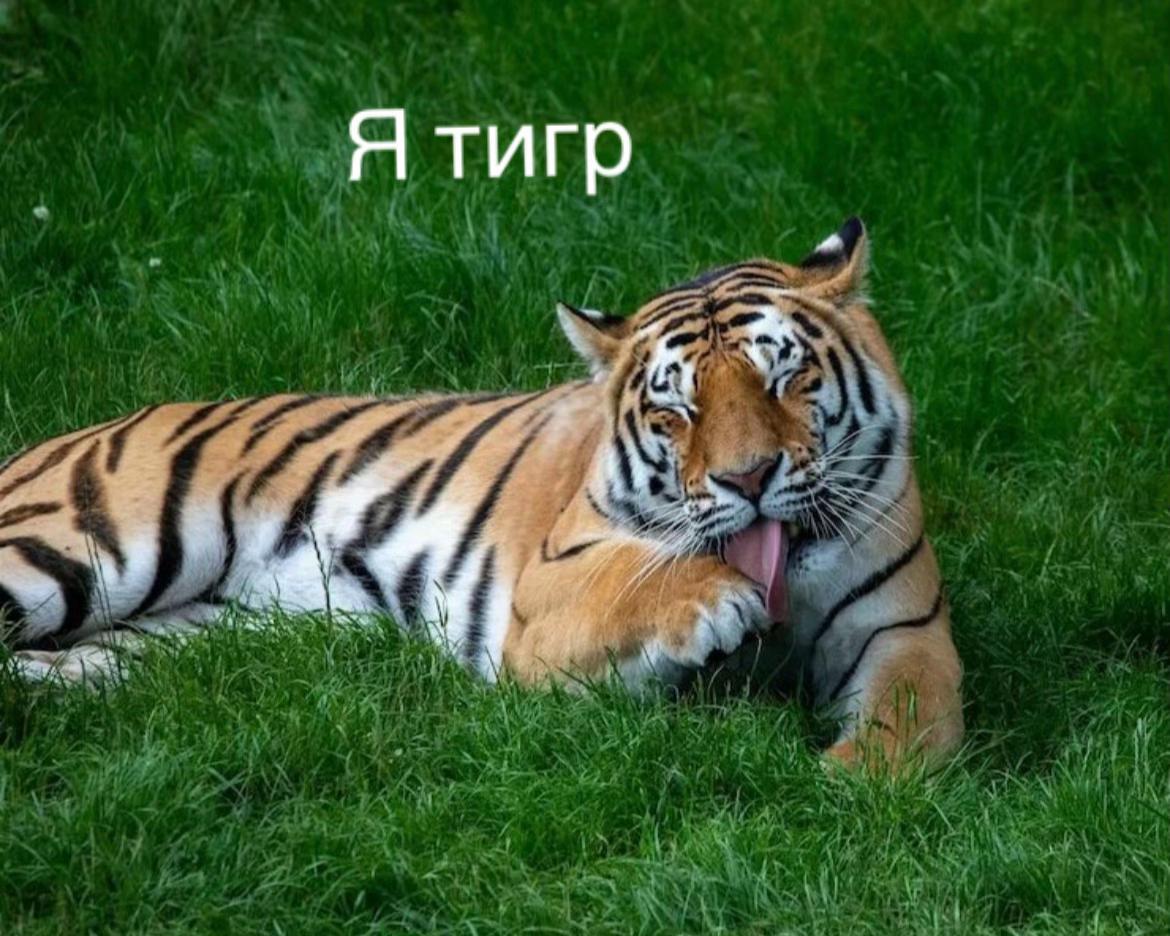 @𝙰𝚗𝚒𝚔𝚊𝚗🫀