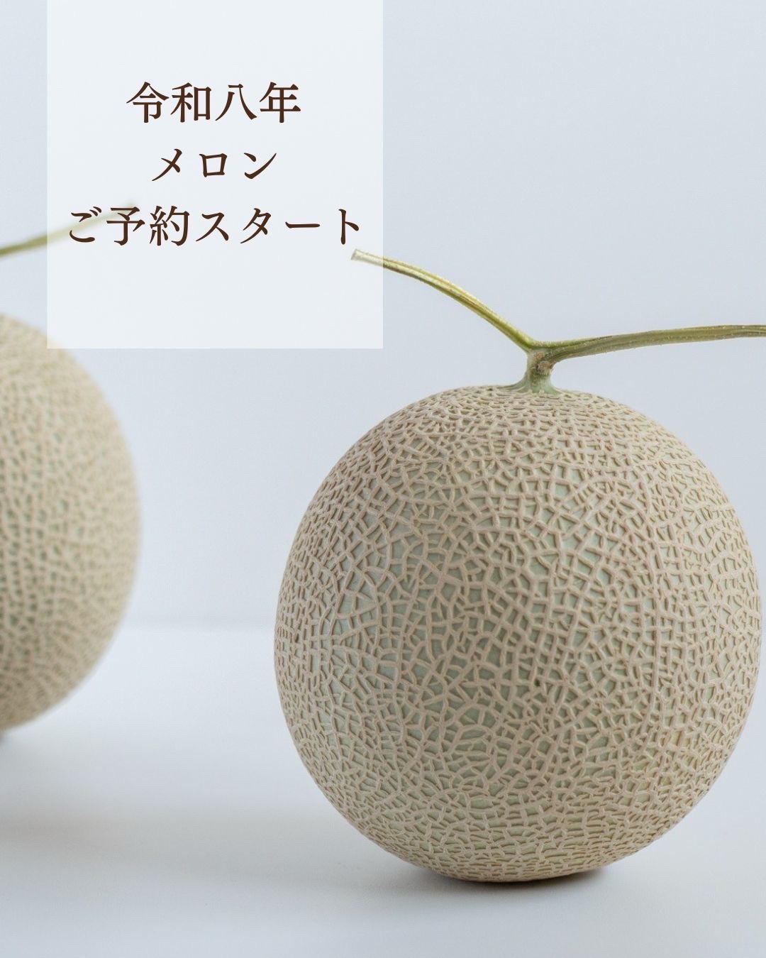 @森木農園